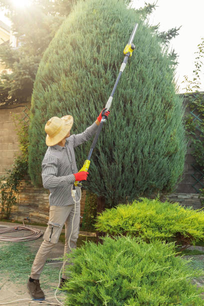 Artificial Turf Installation in Mill City, OR